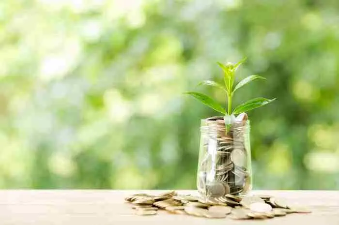 Understanding Mutual Fund Investments and Why You Should Consider Them