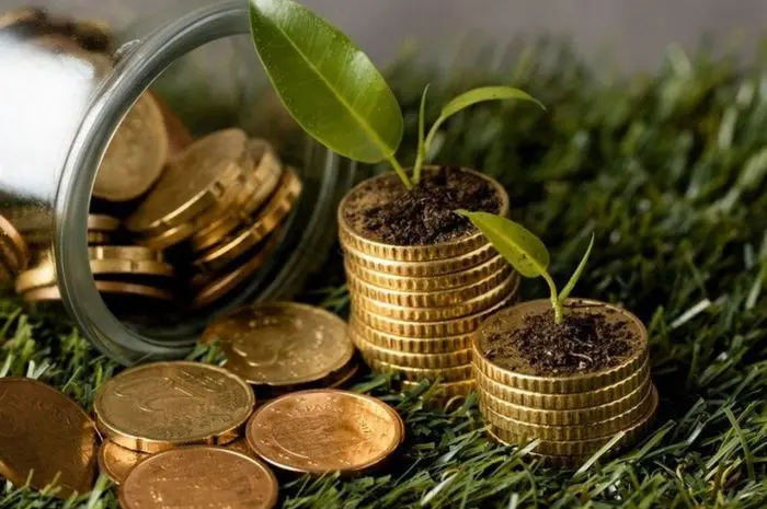 Guide Sharia Investment