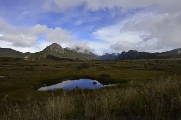 Lorentz National Park, Papua’s Natural Wonder That Holds Diverse Ecosystems & Cultures Lorentz National Park, Papua's Natural Wonder That Holds Diverse Ecosystems & Cultures