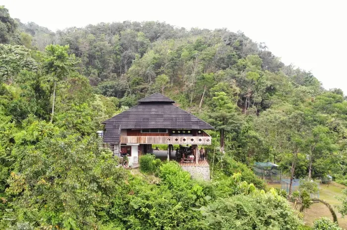 Natural Tourism Destinations in Langkat that Offer Exotic Natural Charm