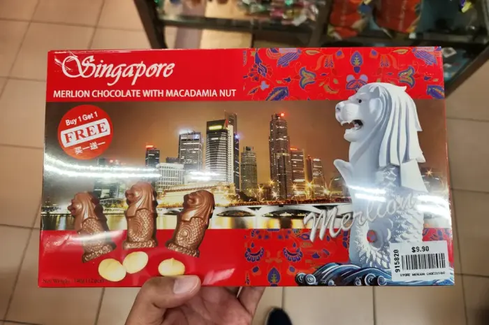 Typical Singapore Souvenirs that You Must Bring Home from the Lion Country